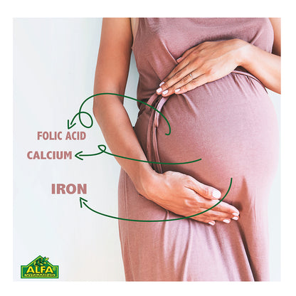 A brown-dressed pregnant person gently holds their belly, highlighting the importance of folic acid, calcium, and iron for fetal development in an image featuring the Alfa Vitamins logo. The product is Alfa Prenatal - Before & After Pregnancy - 60 Capsules.